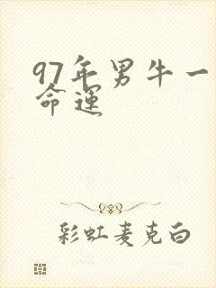 97年男牛一生命运