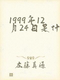 1999年12月24日是什么星座
