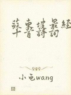 苏东坡最经典的十首诗词