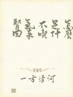 肾气不足怎么补回来吃什么药封面