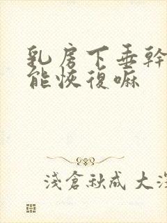 乳房下垂干瘪还能恢复嘛