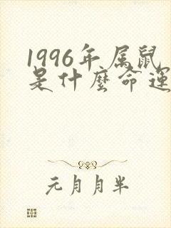 1996年属鼠是什么命运如何封面