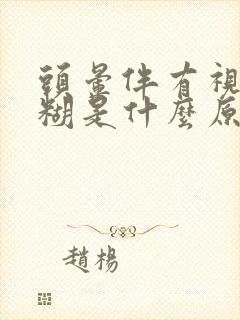 头晕伴有视力模糊是什么原因