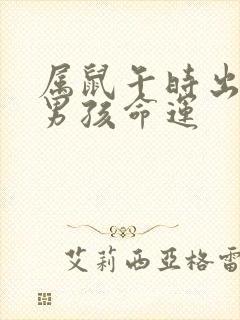 属鼠午时出生的男孩命运