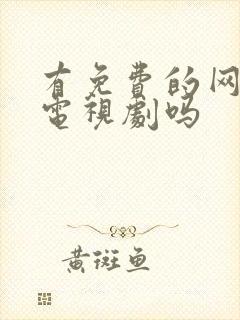 有免费的网站看电视剧吗封面