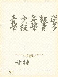 青少年叛逆特训学校学费多少封面