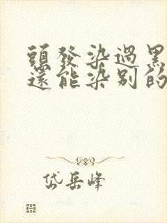 头发染过黑茶色还能染别的颜色么封面