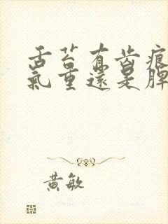 舌苔有齿痕是湿气重还是脾虚