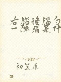 右脑后脑勺一阵一阵痛是什么原因