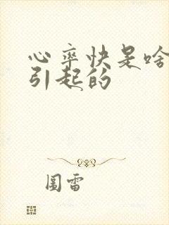 心率快是啥原因引起的