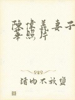 陈伟义妻子张莉华照片