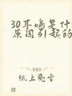 30耳鸣是什么原因引起的封面