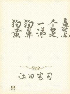 狗狗一个鼻孔流黄鼻涕是怎么回事