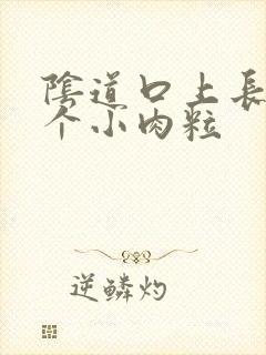 阴道口上长了一个小肉粒封面