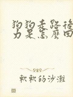 狗狗走路后腿无力是怎么回事