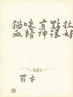 猫咪有点拉稀带血精神很好封面