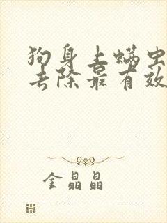 狗身上螨虫怎么去除最有效