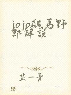 jojo飙马野郎解说