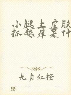 小腿上皮肤痒越抓越痒是什么情况