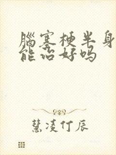 脑塞梗半身麻木能治好吗