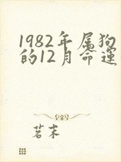 1982年属狗的12月命运好吗