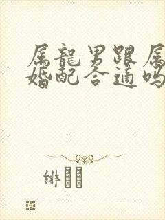 属龙男跟属龙女婚配合适吗