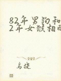 82年男狗和92年女猴相配婚姻如何封面