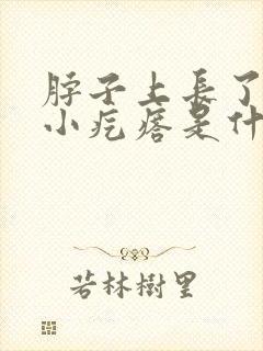 脖子上长了很多小疙瘩是什么原因