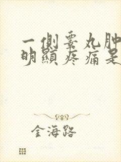 一侧睾丸肿大有明显疼痛是怎么回事封面