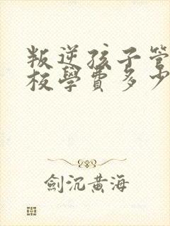 叛逆孩子管理学校学费多少钱