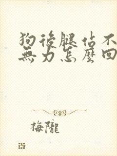 狗后腿站不稳且无力怎么回事