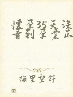 怀孕35天没有看到孕囊正常吗封面