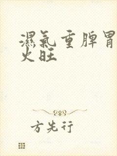 湿气重脾胃虚心火旺