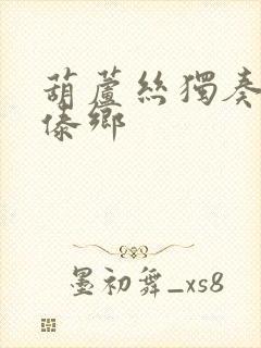 葫芦丝独奏春满傣乡