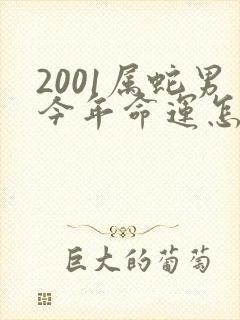 2001属蛇男今年命运怎么样
