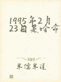 1995年2月23日是啥命