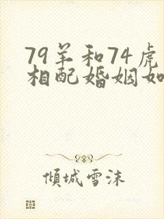 79羊和74虎相配婚姻如何封面