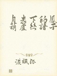 月光下的凤尾竹葫芦丝谱子c调封面