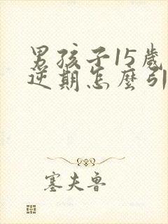 男孩子15岁叛逆期怎么引导