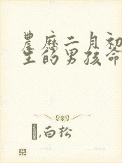 农历二月初四出生的男孩命运