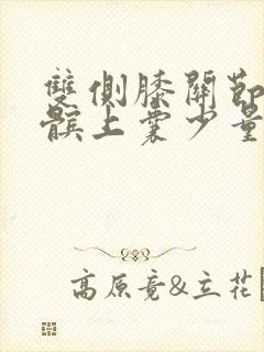 双侧膝关节腔及髌上囊少量积液