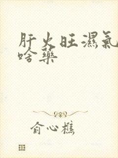 肝火旺湿气重吃啥药