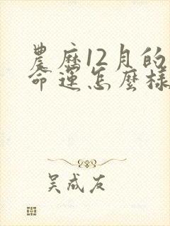 农历12月的虎命运怎么样