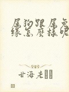 属狗跟属兔的姻缘怎么样呢封面