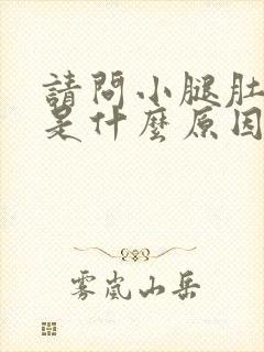 请问小腿肚子疼是什么原因造成的