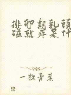 排卵期乳头疼一碰就疼是什么原因封面