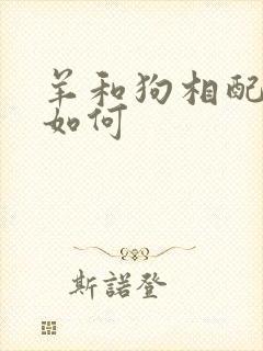 羊和狗相配婚姻如何