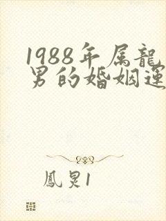 1988年属龙男的婚姻运势