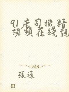 91老司机精品视频在线观看