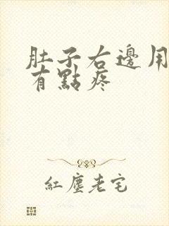 肚子右边用手按有点疼封面